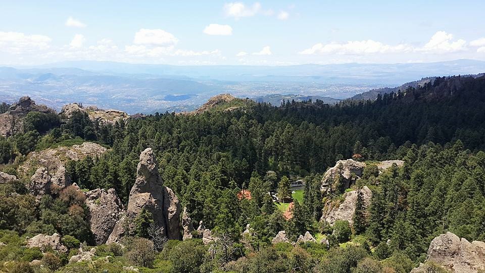 Vista panorámica del Parque Nacional "El Chico" en donde se ve un bosque de pino común y el relieve montañoso característico en él.