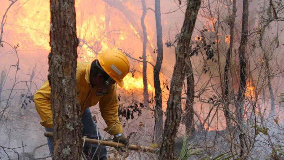 Combatiente de incendios forestales realizando labores durante incendio.