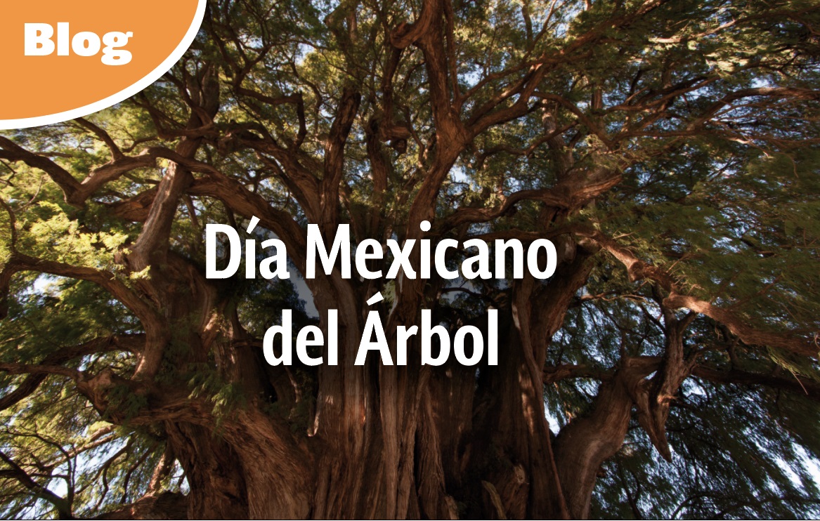 Día Mexicano del Árbol