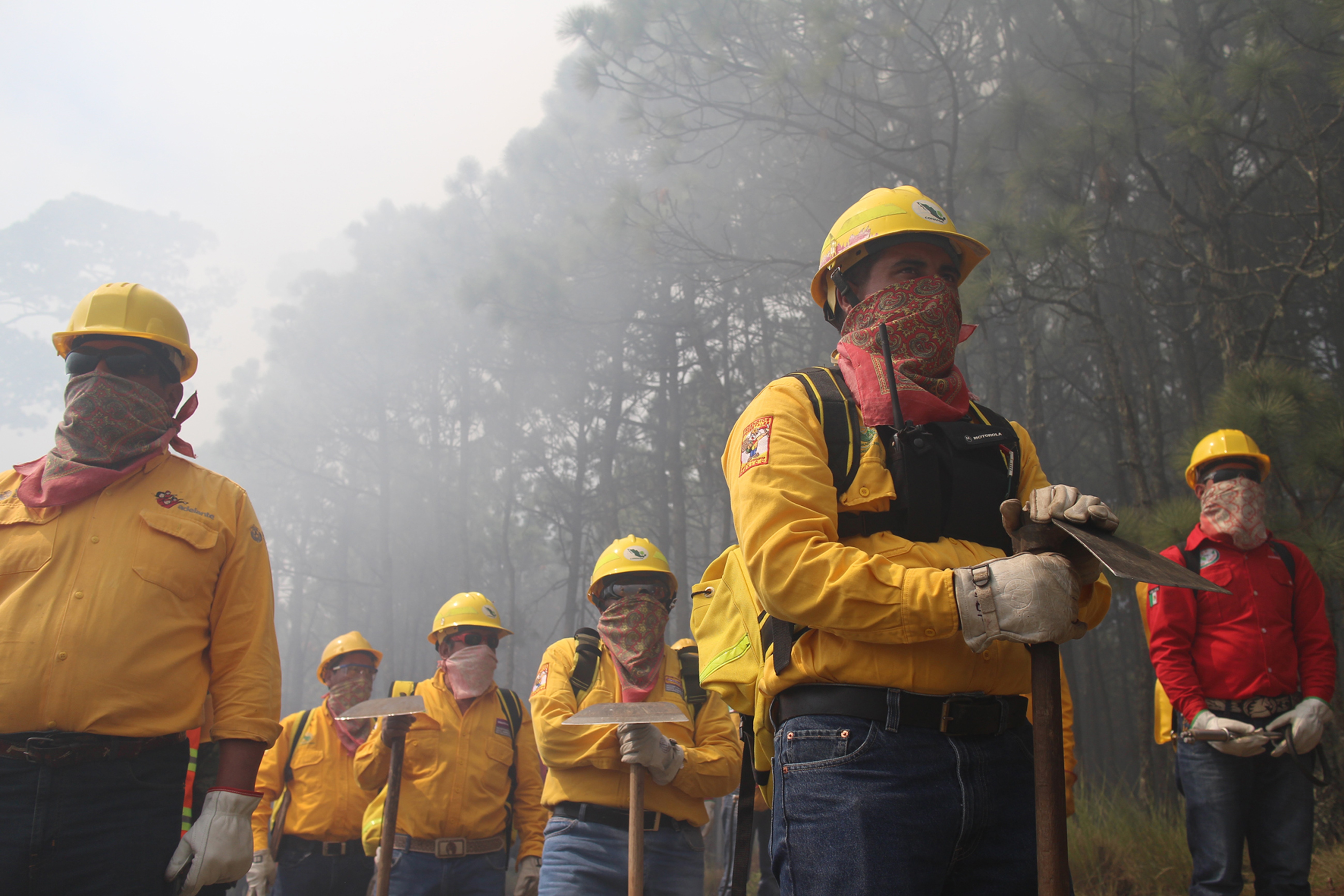 Contrapicada de grupo de combatientes de incendios forestales durante quema controlada, alistándose para iniciar acciones.