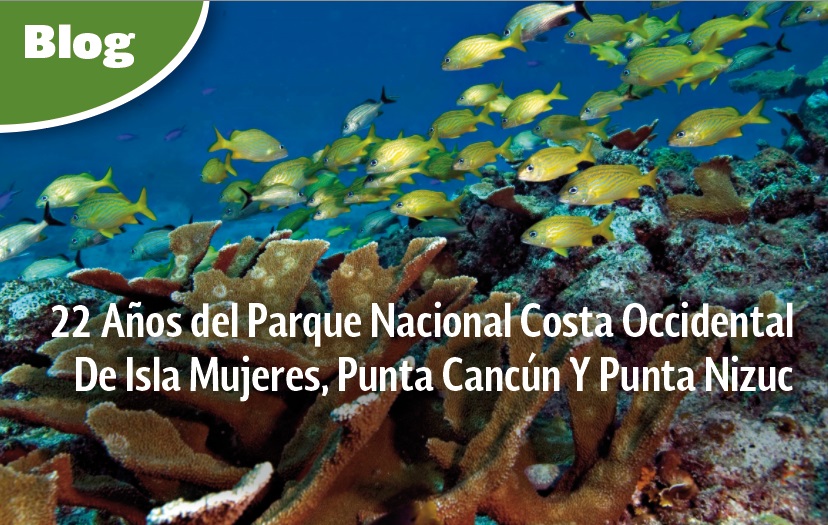 Parque Nacional Costa Occidental De Isla Mujeres, Punta Cancún Y Punta Nizuc
