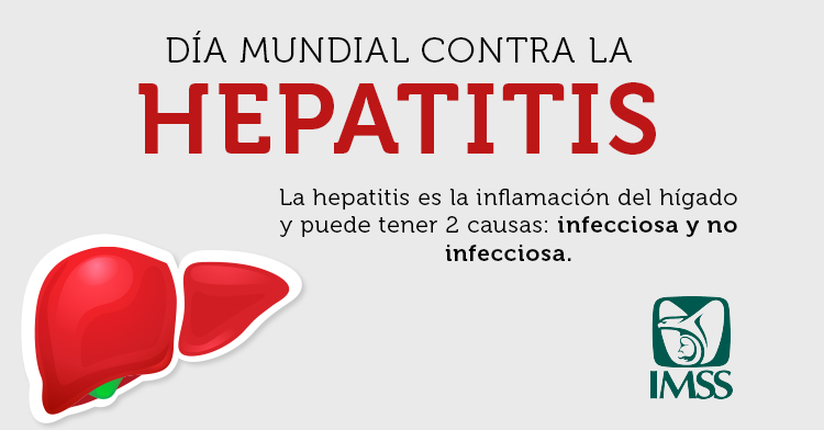 Los tipos de hepatitis más comunes son la hepatitis A, B y C.