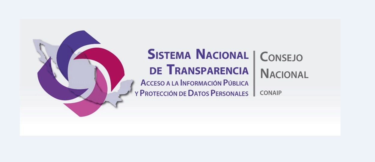 Logo del Consejo Nacional SNT 