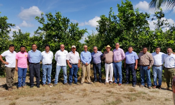 Fortalece FIRA relación con Agroindustrias Citrícolas del norte de Veracruz