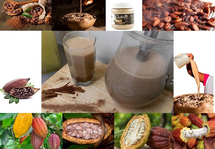 El cacao es un árbol que alcanza una altura en promedio de 6 metros, se concentra en las regiones tropicales que van de los 0 a los 400 metros sobre el nivel del mar, con precipitaciones promedio de entre los 1,500 a los 2,500 milímetros anuales, donde la