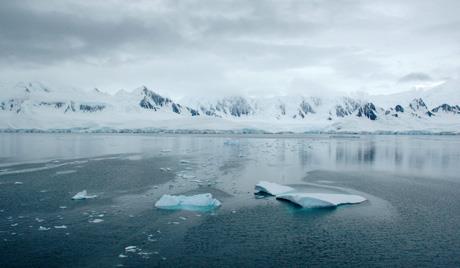 Vista general de panorama de escenario glacial. Se evidencian dos pedazos de hielo desprendidos en el océano.