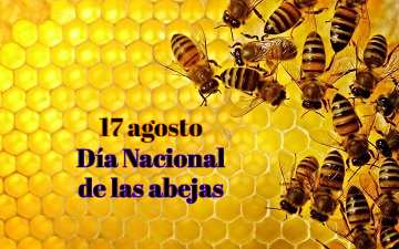 17 de agosto, Día Nacional de las abejas