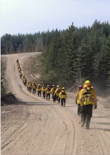 Vista general de combatientes de incendios forestales caminando en hilera hacia el bosque.
