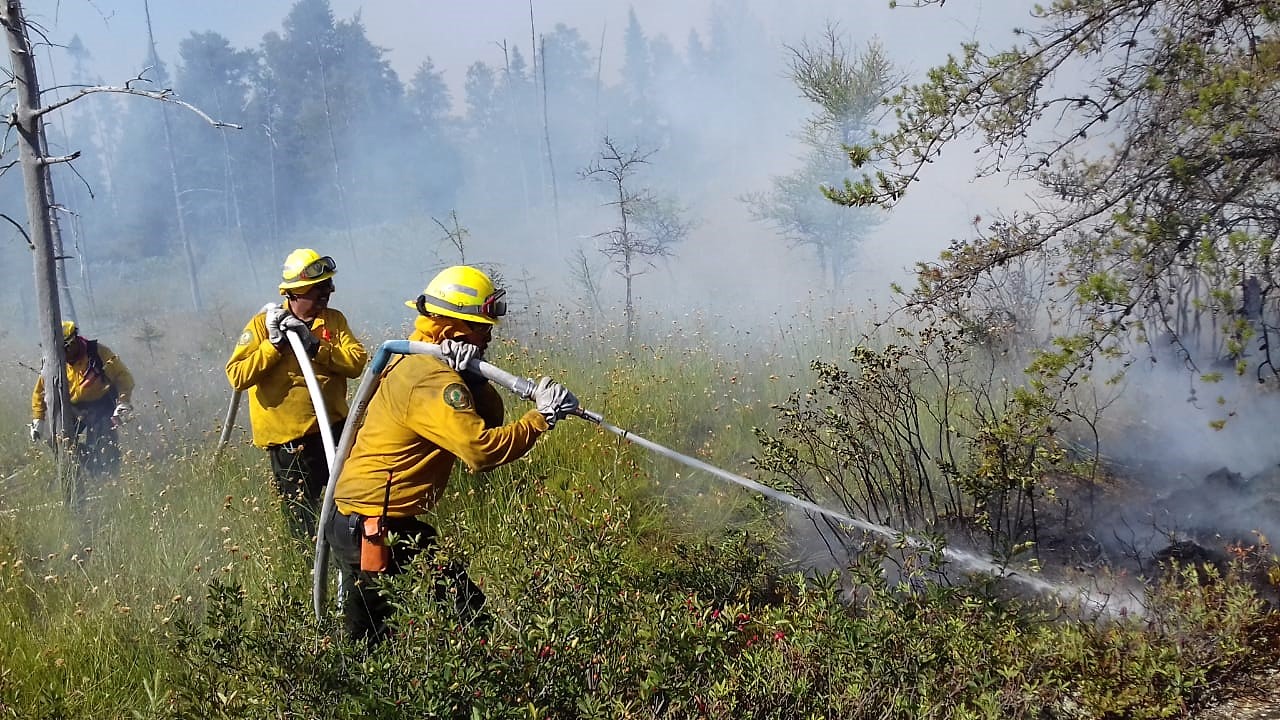 Dos combatientes de incendios forestales manipulando manguera de agua en incendio controlado.
