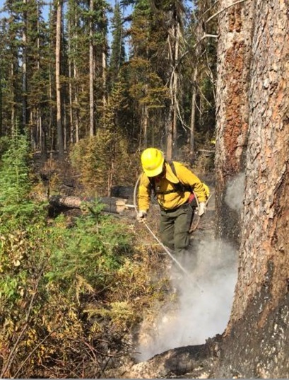 Vista general de combatiente de incendios rociando árbol