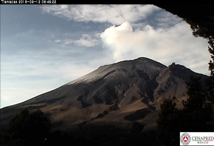 En las últimas 24 horas, por medio de los sistemas de monitoreo del volcán Popocatépetl se identificaron 144 exhalaciones, 5 explosiones, 144 miutos de tremor y siete sismos volcanotectónicos. 