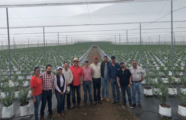 Fortalece FIRA la agroindustria en el oriente de Michoacán