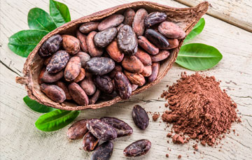 La producción de cacao en 2018* es de 28.4 mil toneladas;  3.9% mayor que lo obtenido en 2017
