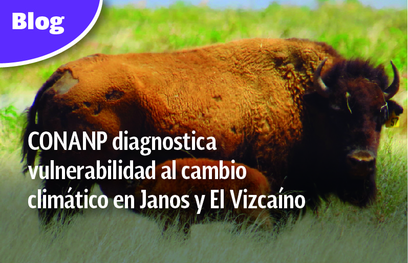 CONANP diagnostica vulnerabilidad al cambio climático en Janos y El Vizcaíno