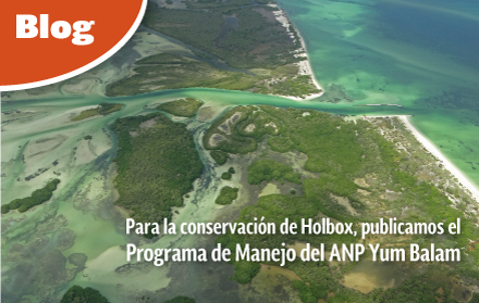 Para la conservación de Holbox, publicamos el  Programa de Manejo del ANP Yum Balam