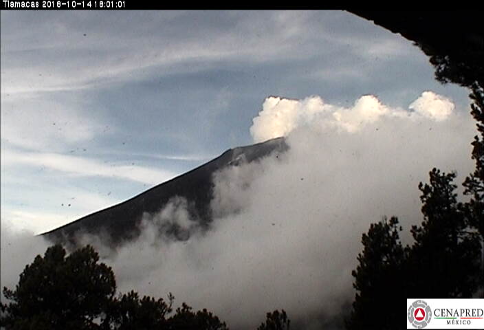 En las últimas 24 horas, por medio de los sistemas de monitoreo del volcán Popocatépetl, se identificaron 121 exhalaciones. 