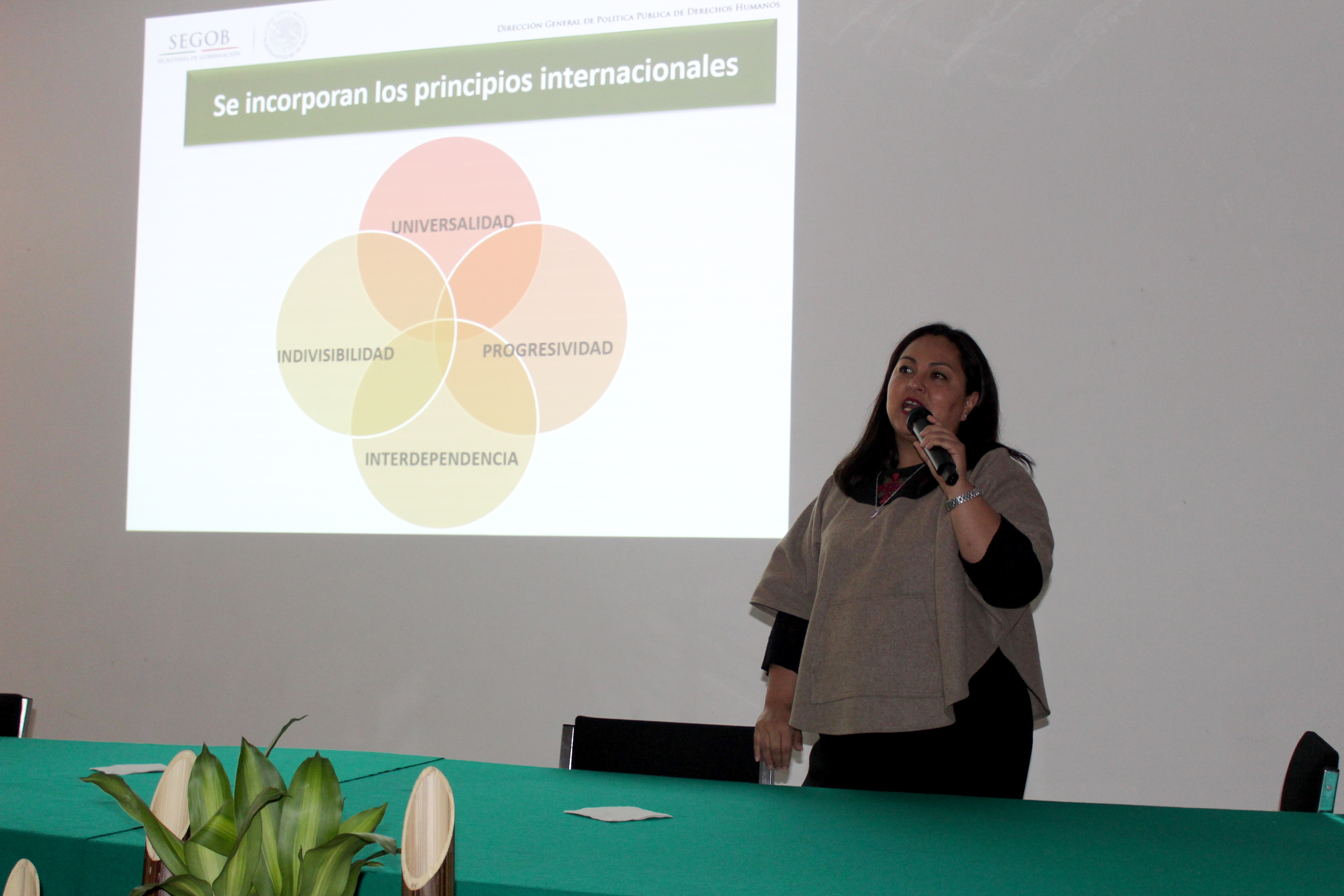 Lourdes del Carmen Morales Gómez, maestra en derecho procesal constitucional, de la Universidad Panamericana.