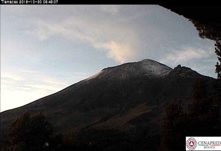 En las últimas 24 horas, por medio de los sistemas de monitoreo del volcán Popocatépetl, se identificaron 119 exhalaciones. 