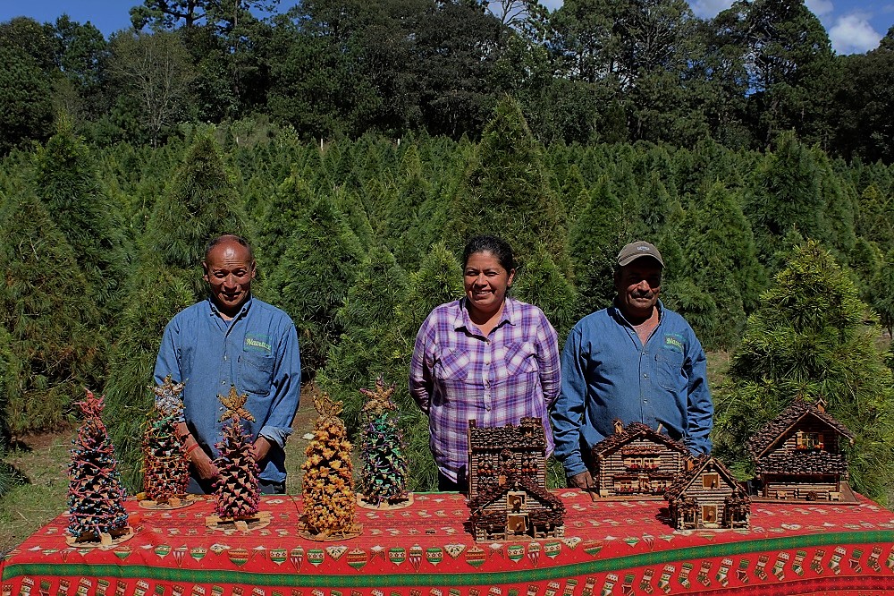 Productores de árboles de NAvidad de Tlaxcala muestran sus artesanías en una mesa, frente a la plantación.