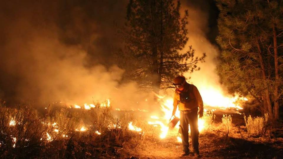 Los incendios forestales están ligados a procesos productivos tradicionales en los que se hace uso del elemento fuego, pero también se relaciona con causas naturales. 