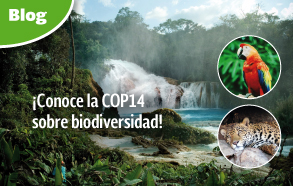 ¡Conoce la COP14 sobre biodiversidad!