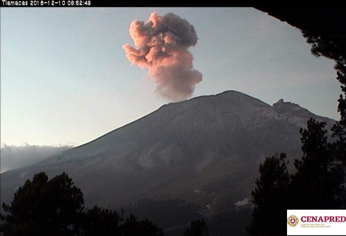 En las últimas 24 horas, por medio de los sistemas de monitoreo del volcán Popocatépetl, se identificaron 102 exhalaciones de baja intensidad, acompañadas de vapor de agua y gas. 
