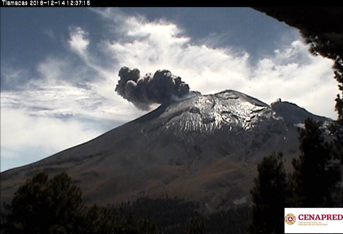 En las últimas 24 horas, por medio de los sistemas de monitoreo del volcán Popocatépetl, se identificaron 34 exhalaciones y una explosión ayer a las 12:37 h. Durante la noche fue posible observar el cráter e incandescencia en algunos eventos