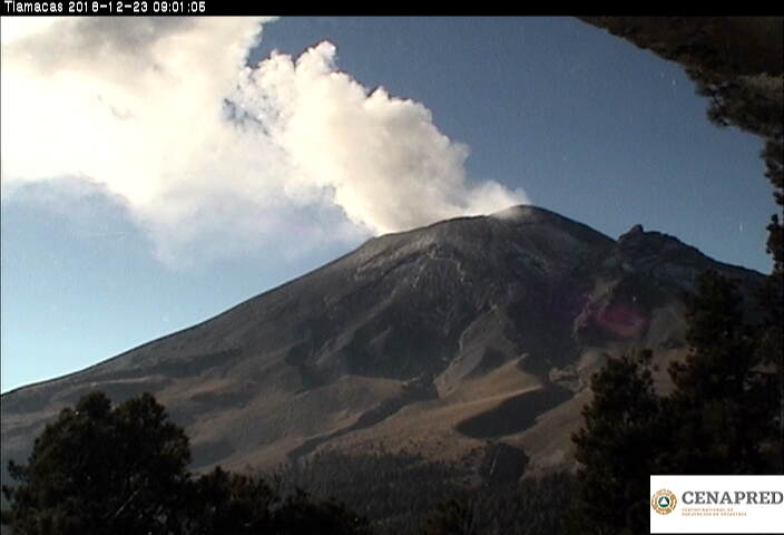 En las últimas 24 horas, por medio de los sistemas de monitoreo del volcán Popocatépetl, se identificaron 183 exhalaciones acompañadas de vapor de agua y gas.