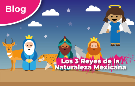Los 3 Reyes de la Naturaleza Mexicana