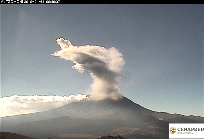 En las últimas 24 horas, por medio de los sistemas de monitoreo del volcán Popocatépetl, se identificaron 216 exhalaciones, tres Vt y 10 minutos de tremor.