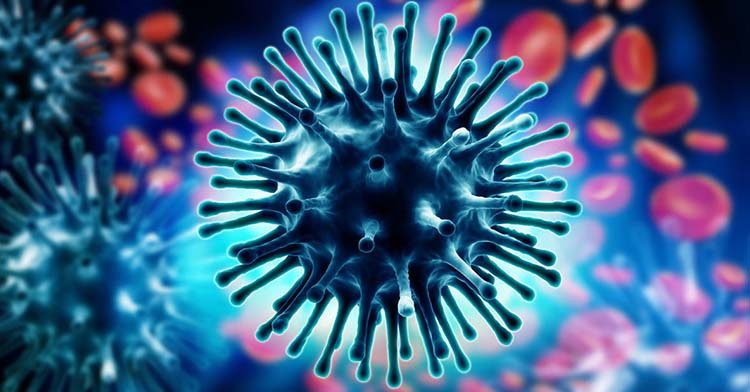 Imagen del virus de la influenza.