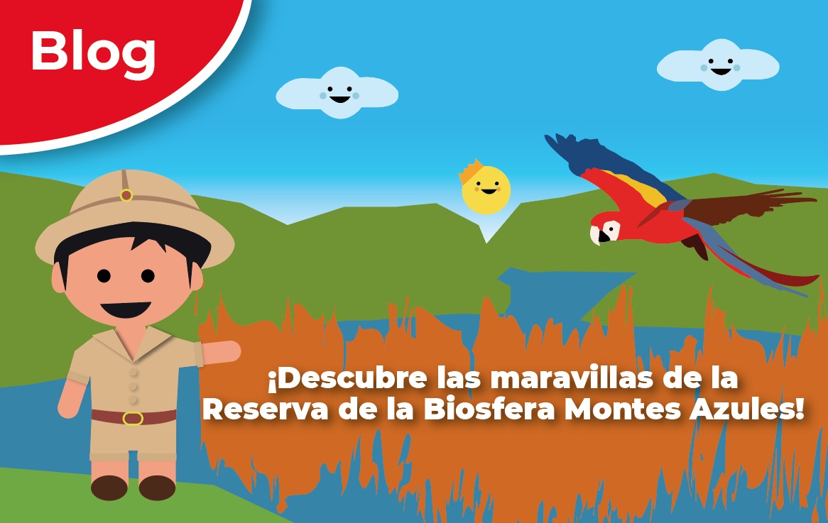 ¡Descubre las maravillas de la Reserva de la Biosfera Montes Azules!