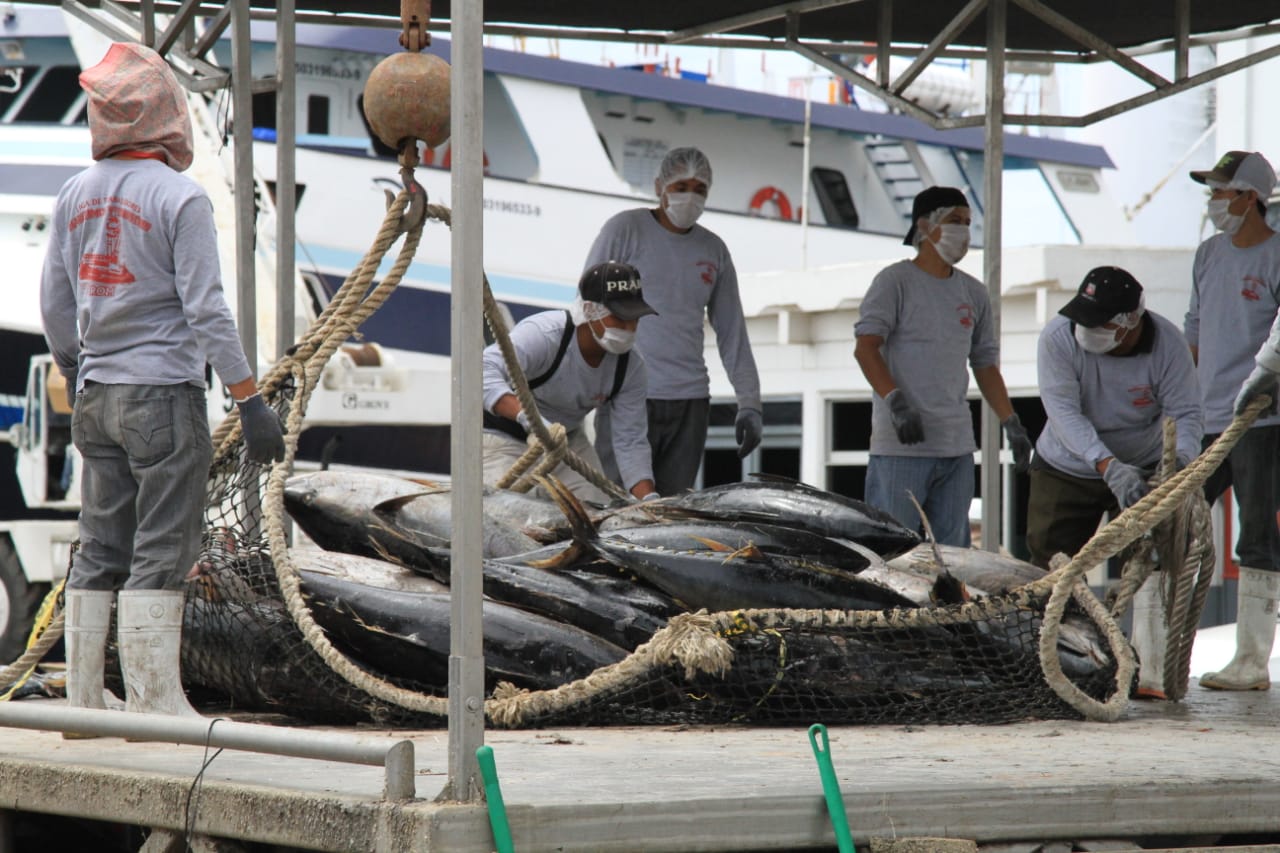 México se mantiene como país líder en la pesca sustentable y responsable del atún.