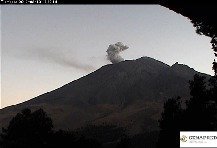 En las últimas 24 horas, por medio de los sistemas de monitoreo del volcán Popocatépetl, se identificaron 221 exhalaciones acompañadas de vapor de agua y gas. Adicionalmente, se detectaron cuatro explosiones.
