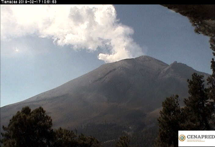 En las últimas 24 horas, por medio de los sistemas de monitoreo del volcán Popocatépetl, se identificaron 33 exhalaciones acompañadas de vapor de agua y gas. 