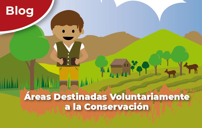 Áreas Destinadas Voluntariamente a la Conservación