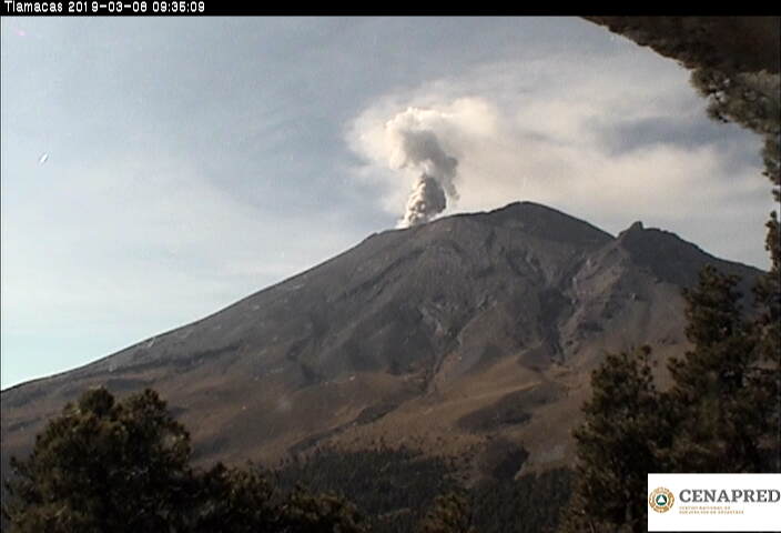 En las últimas 24 horas, por medio de los sistemas de monitoreo del volcán Popocatépetl, se identificaron 42 exhalaciones, que han sido acompañadas de una emisión continua de vapor de agua, gas y ligeras cantidades de ceniza.