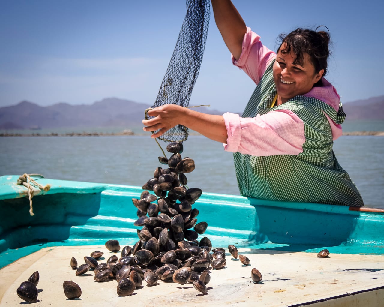 En México más de 22 mil mujeres se dedican a la pesca y acuacultura.