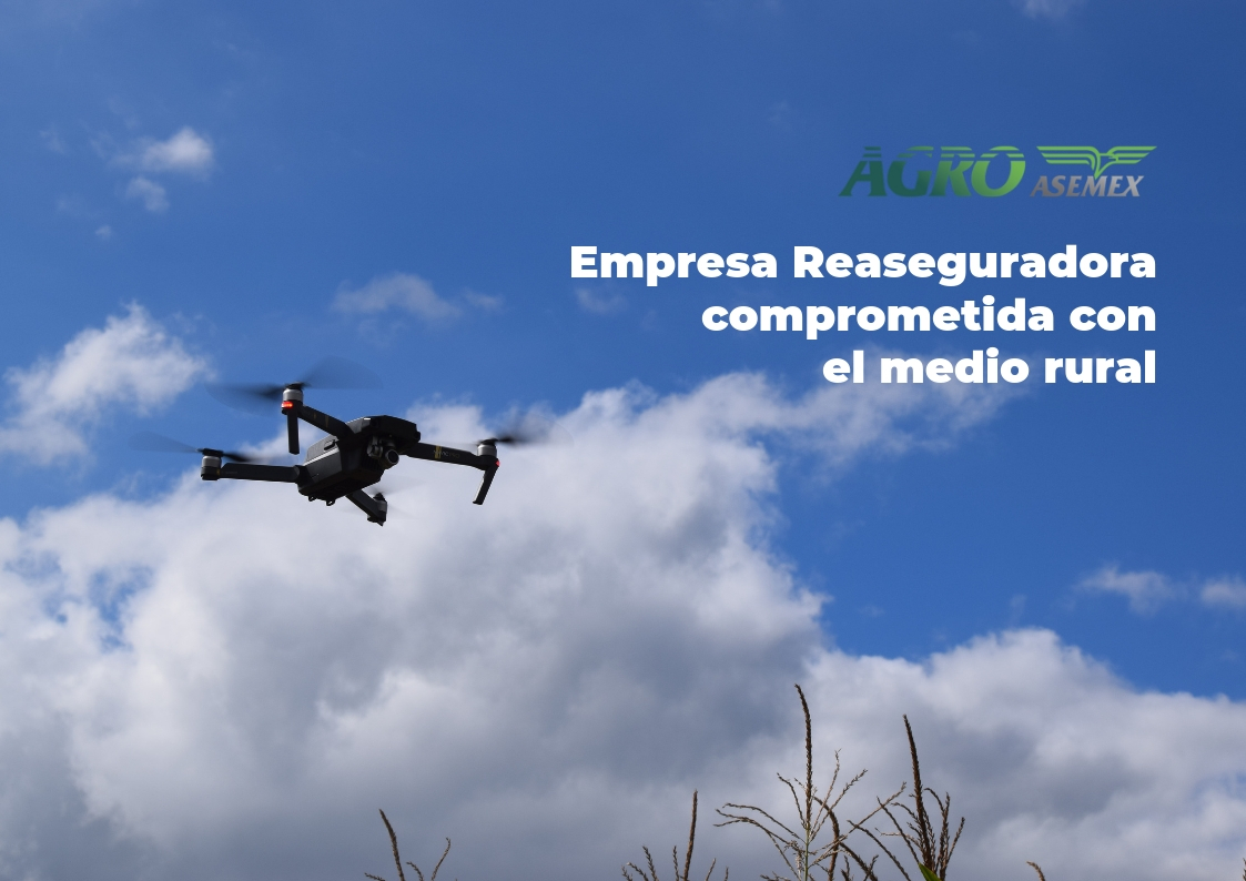 Dron sobrevolando campo de cultivo. 
