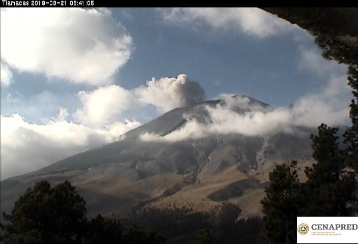En las últimas 24 horas, por medio de los sistemas de monitoreo del volcán Popocatépetl, se identificaron 184 exhalaciones así como dos eventos volcanotectónicos,el primero registrado ayer a las 12:58 h, y el segundo registrado hoy a las 07:33 h.