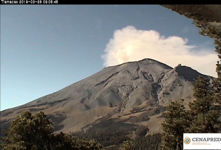 En las últimas 24 horas, por medio de los sistemas de monitoreo del volcán Popocatépetl, se identificaron 61 exhalaciones acompañadas de vapor de agua, gases volcánicos y bajo contenido de ceniza. Se registró una explosión y dos VT's.
