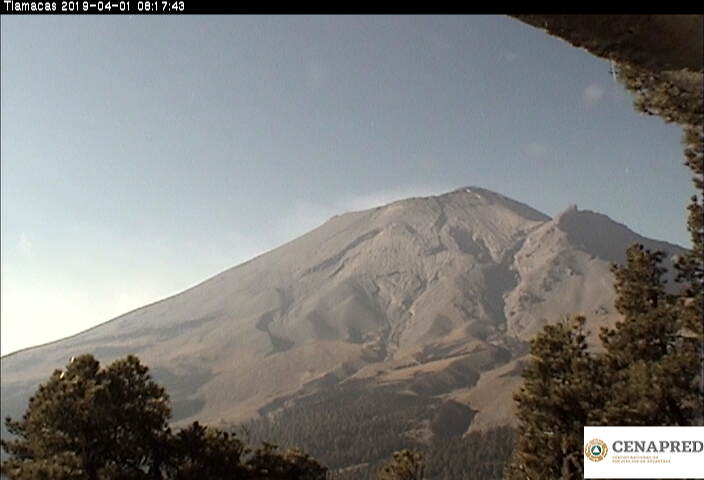 En las últimas 24 horas, por medio de los sistemas de monitoreo del volcán Popocatépetl, se identificaron 28 exhalaciones acompañadas de vapor de agua y gases volcánicos. 
