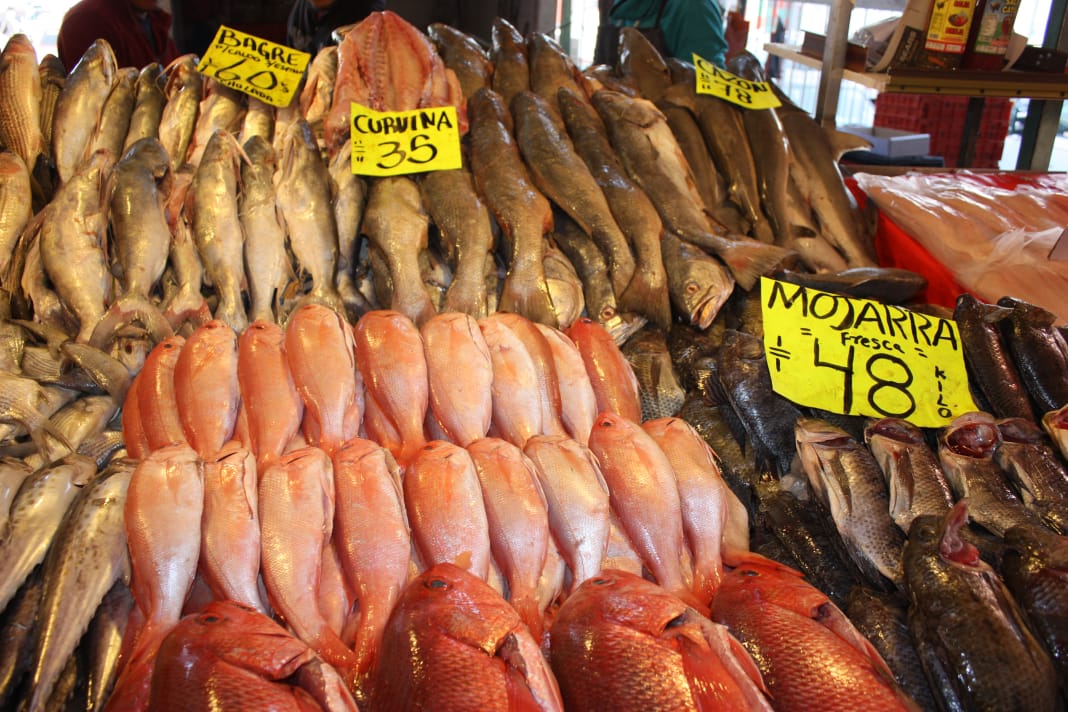 Amplia oferta de pescados y mariscos de producción nacional disponibles, a  precios accesibles y frescos, en los mercados del país | Comisión Nacional  de Acuacultura y Pesca | Gobierno 