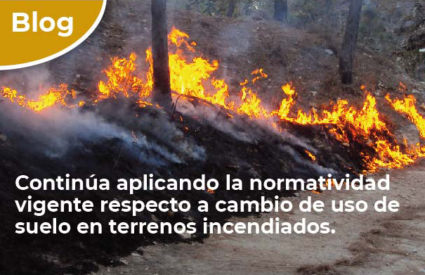 Continúa aplicando la normatividad vigente respecto a cambio de uso de suelo en terrenos incendiados