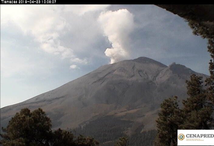 En las últimas 24 horas, por medio de los sistemas de monitoreo del volcán Popocatépetl, se identificaron 55 exhalaciones acompañadas de vapor de agua y gas. 