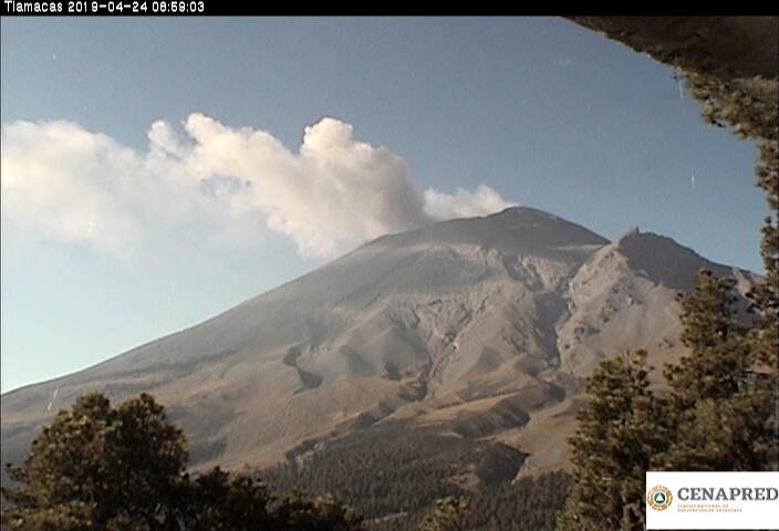 En las últimas 24 horas, por medio de los sistemas de monitoreo del volcán Popocatépetl, se identificaron 11 exhalaciones acompañadas de vapor de agua, gas y ocasionalmente ligeras cantidades de ceniza.