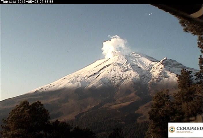 En las últimas 24 horas, por medio de los sistemas de monitoreo del volcán Popocatépetl, se identificaron 21 exhalaciones. Además, se registró ayer un sismo volcanotectónico ayer a las 17:54 h.