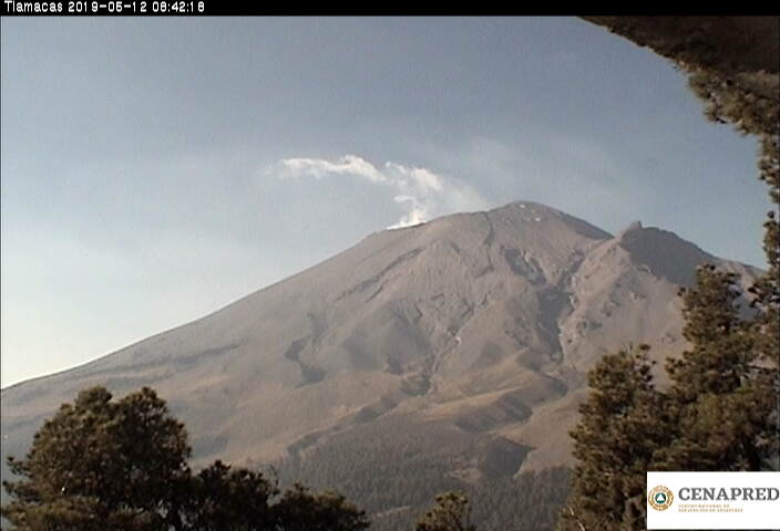 En las últimas 24 horas, por medio de los sistemas de monitoreo del volcán Popocatépetl, se identificaron 62 exhalaciones acompañadas de vapor de agua y gas. 
