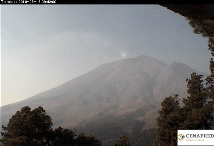 En las últimas 24 horas, por medio de los sistemas de monitoreo del volcán Popocatépetl, se identificaron 33 exhalaciones acompañadas de vapor de agua y gas. 