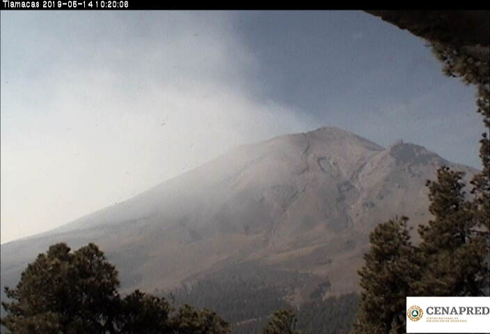 En las últimas 24 horas, por medio de los sistemas de monitoreo del volcán Popocatépetl, se identificaron 31 exhalaciones acompañadas de vapor de agua y gas.